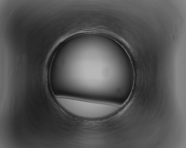 X0000095551506200712140925