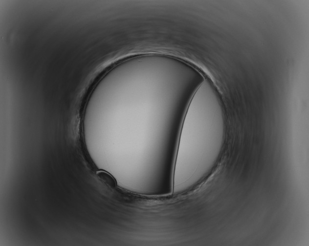 X0000095551507200712140925