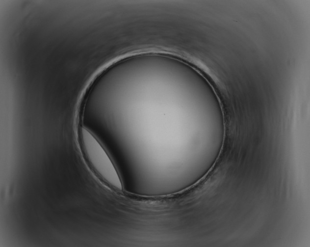 X0000095551508200712140925