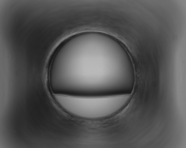 X0000095551511200712140925