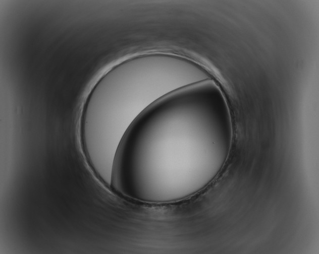 X0000095551512200712140925