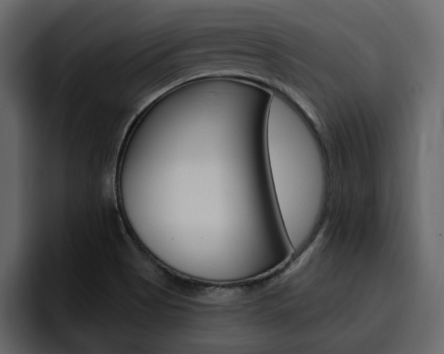 X0000095551513200712140925