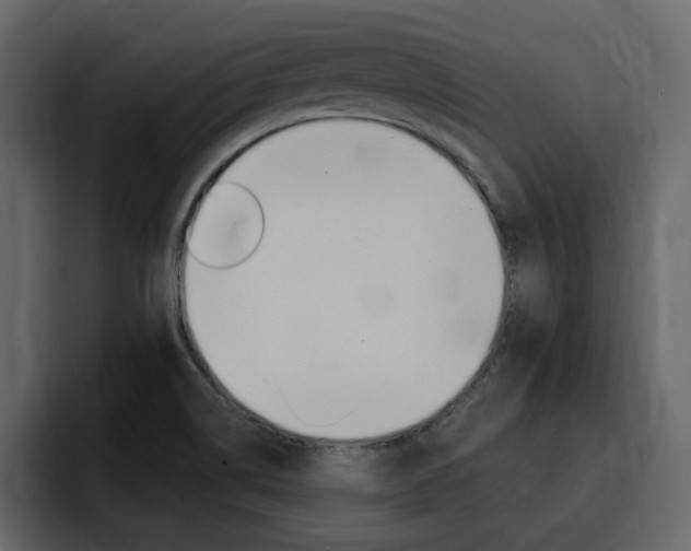 X0000095551514200712140925