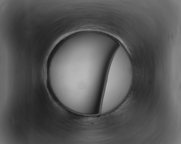 X0000095551515200712140925