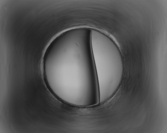 X0000095551516200712140925