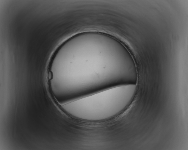 X0000095551517200712140925