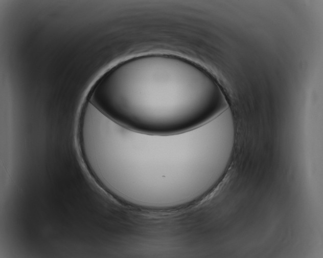 X0000095551518200712140925