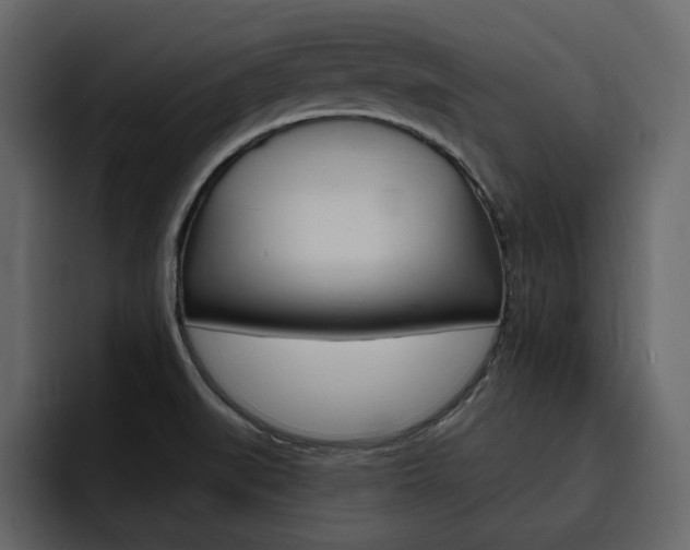 X0000095551519200712140925