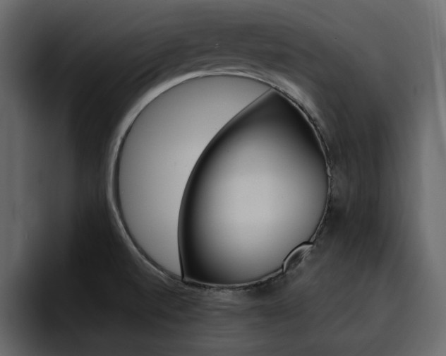 X0000095551520200712140925