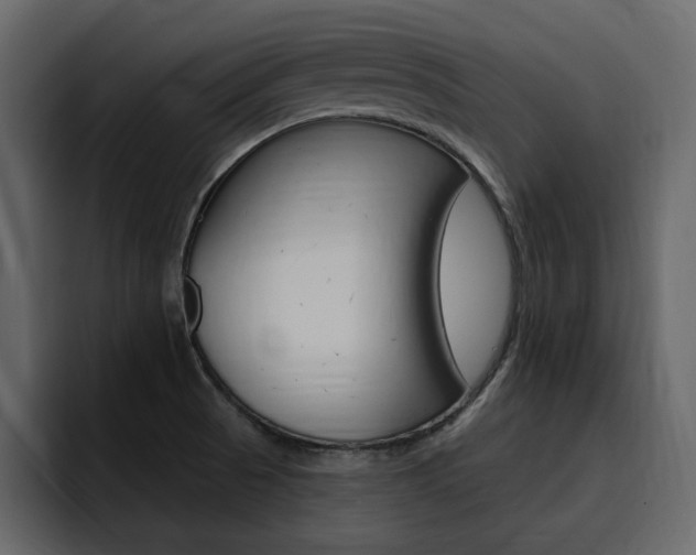 X0000095551521200712140925