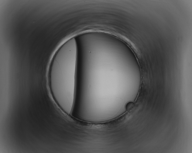 X0000095551522200712140925