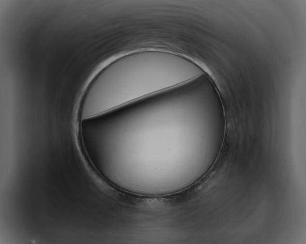 X0000095551523200712140925