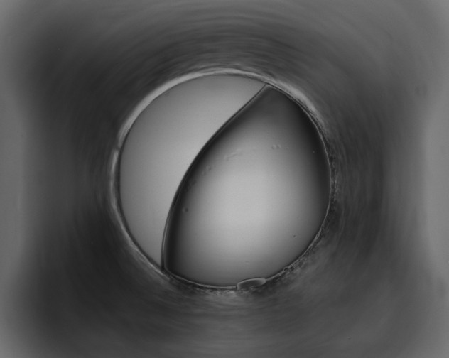 X0000095551524200712140925