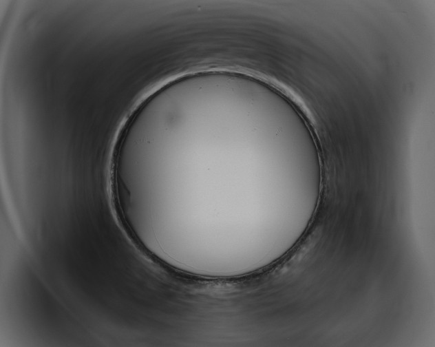 X0000095551525200712140925