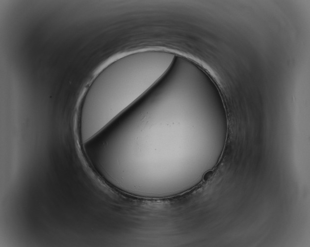X0000095551526200712140925