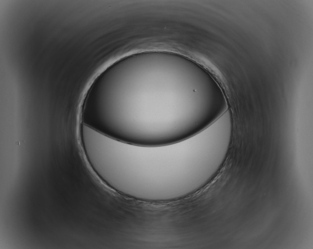 X0000095551528200712140925