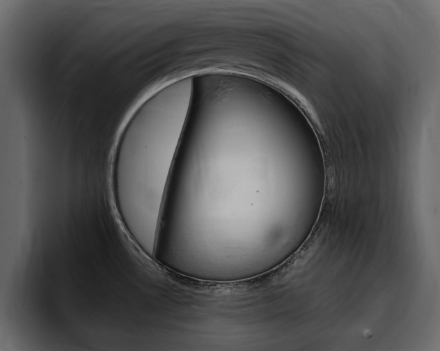 X0000095551530200712140925