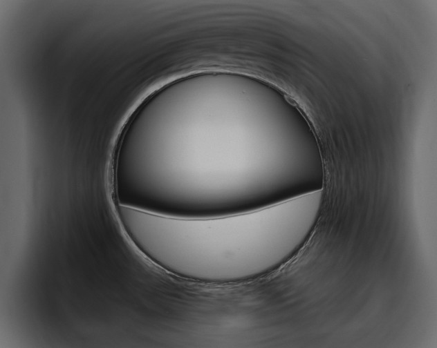 X0000095551531200712140925