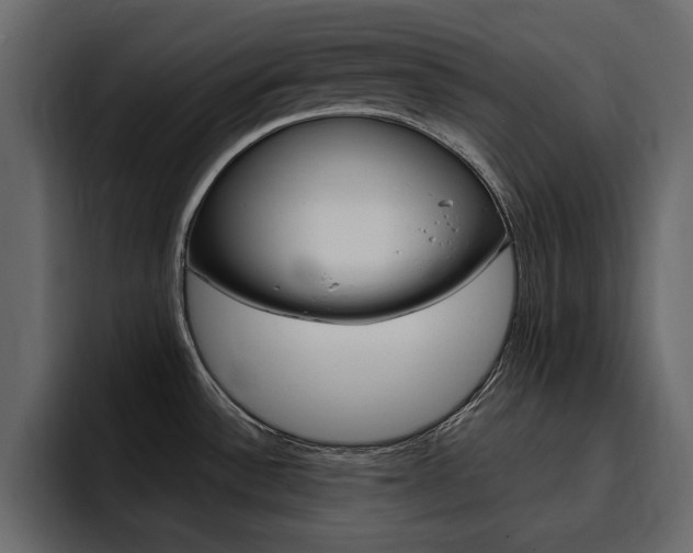 X0000095551532200712140925