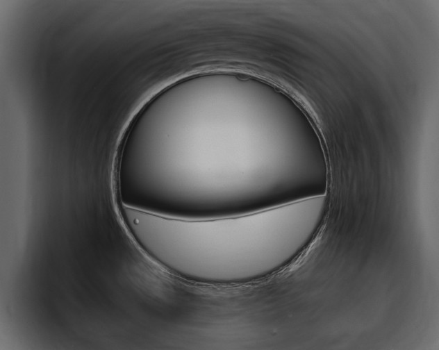 X0000095551533200712140925