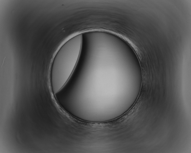 X0000095551534200712140925