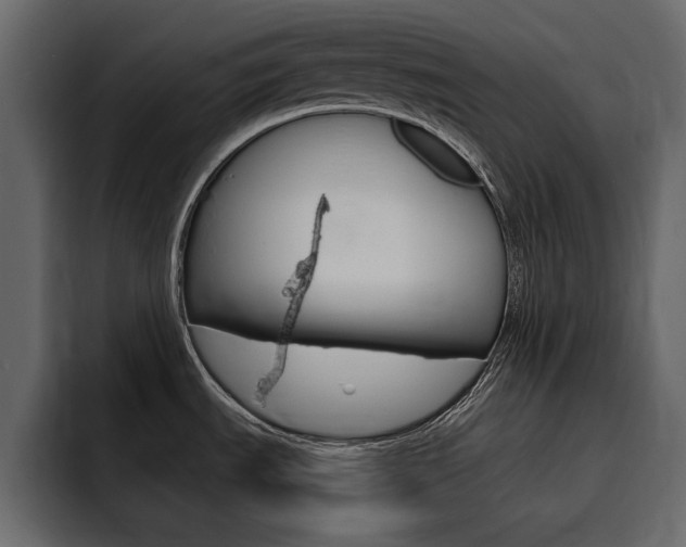 X0000095551535200712140925