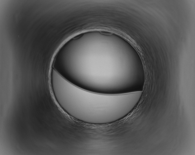 X0000095551536200712140925