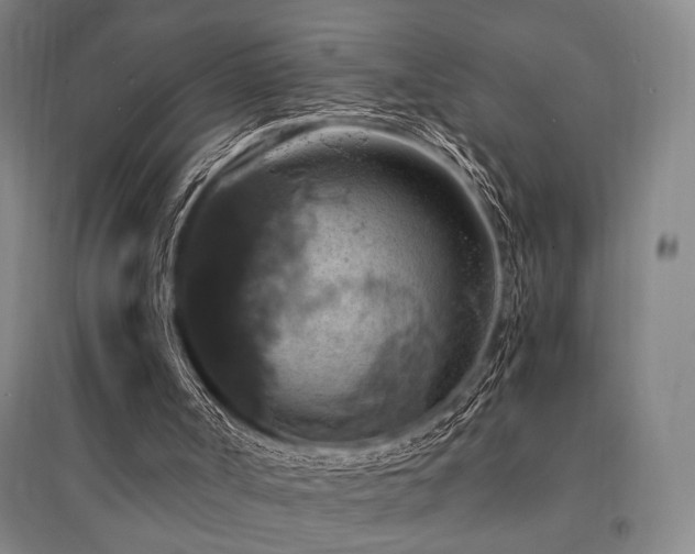 X0000095550002200712141605