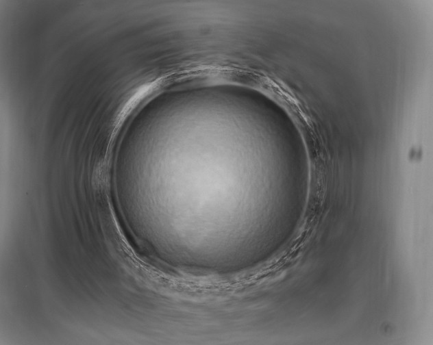 X0000095550003200712141605