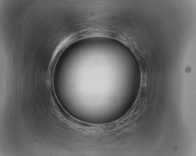 X0000095550004200712141605