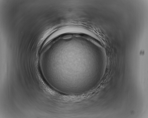 X0000095550005200712141605