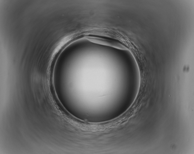 X0000095550006200712141605