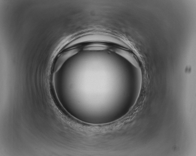 X0000095550007200712141605