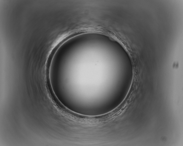 X0000095550008200712141605