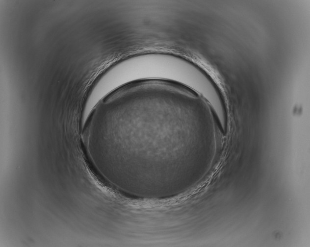 X0000095550009200712141605