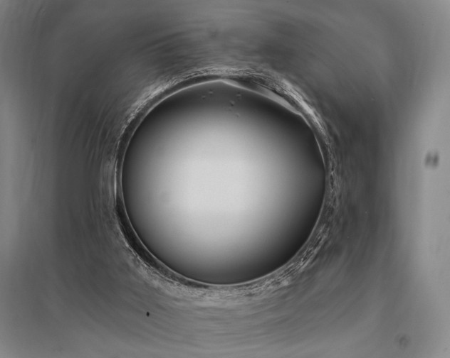 X0000095550011200712141605