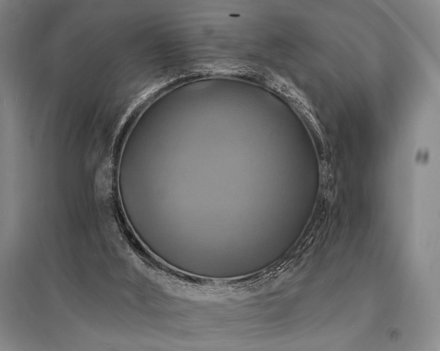 X0000095550012200712141605