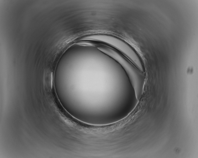 X0000095550013200712141605