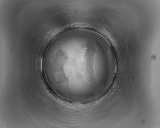 X0000095550014200712141605