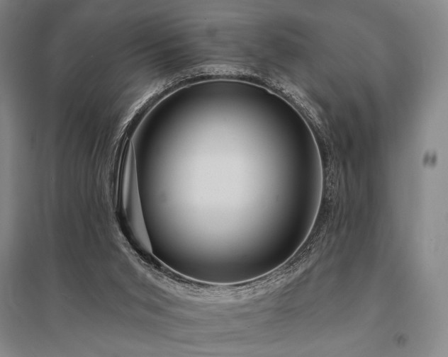 X0000095550015200712141605