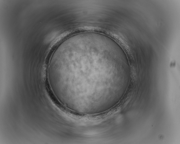 X0000095550016200712141605