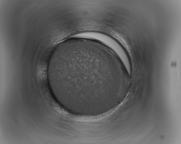 X0000095550017200712141605