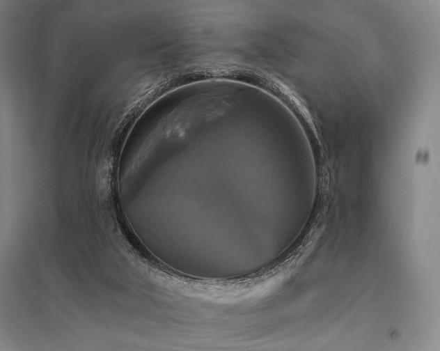 X0000095550018200712141605