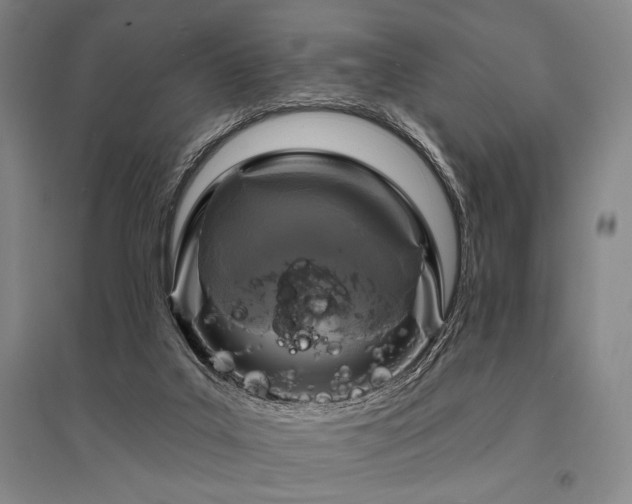 X0000095550019200712141605