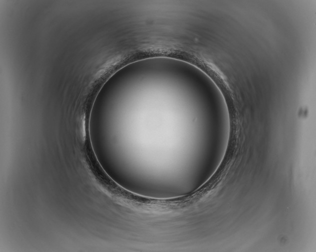 X0000095550020200712141605