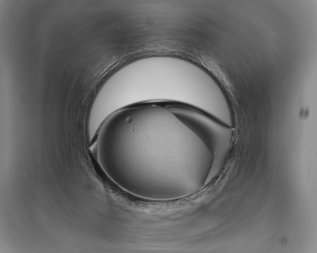 X0000095550021200712141605