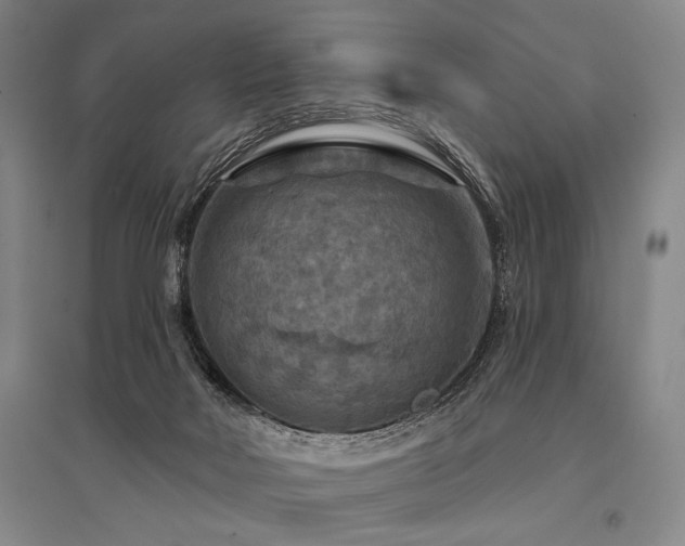 X0000095550026200712141605