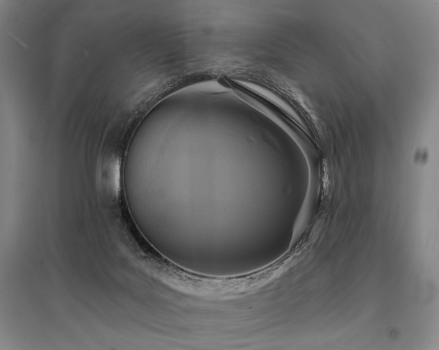 X0000095550027200712141605