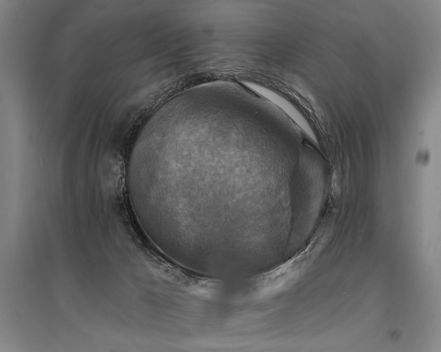 X0000095550029200712141605