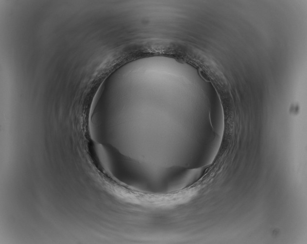 X0000095550031200712141605